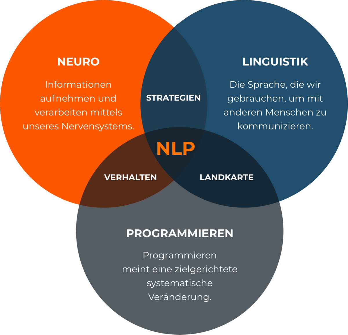 Neurolinguistisches Programmieren Neurolinguistisches Programmieren